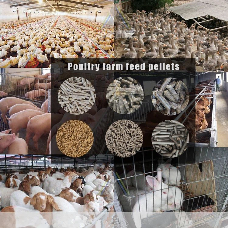 poultry feed pellet making machine poultry feed pellet making machine