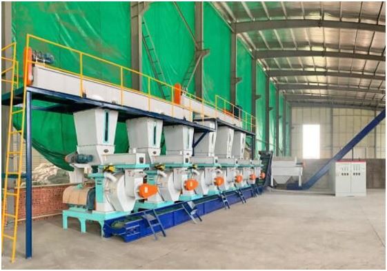  5-6 ton per hour wood pellet production line 