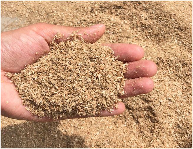 sawdust