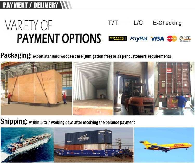 dry type fish feed extruder factory